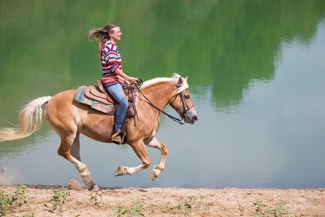 Horse Riding Tour in Kusadası with Friendly Horses and Instructor 5