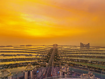 Dubai Marina Dhow Dinner Cruise and View at the Palm Tour