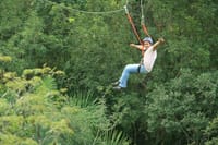 Tree Climbing  3