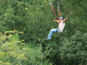 Tree Climbing Adventure in Bonito, Brazil