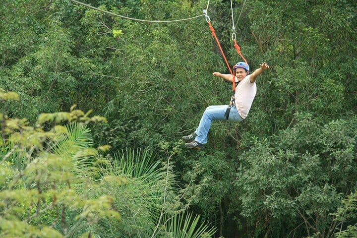 Tree Climbing  3