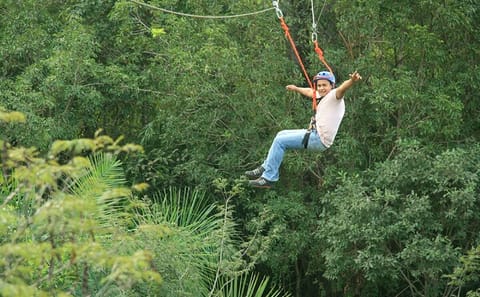 Tree Climbing Adventure in Bonito, Brazil