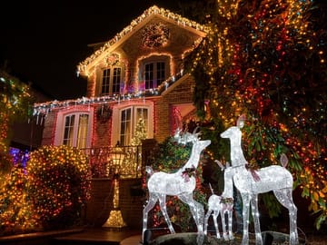 Explore New York City Contrasts and Dyker Heights Lights Tour