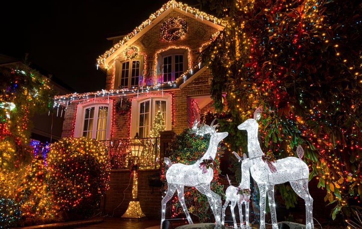 Tour New York City Contrasts and Dyker Heights Lights