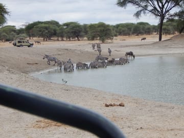 A day in Tarangire National Park