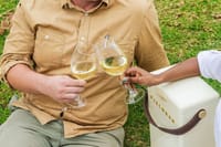 South Africa Cape Winelands Full Day Private Tour 7