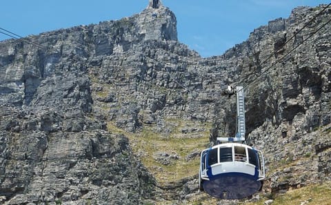 Full Day Shared Tour of Table Mountain and Cape Point