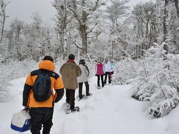 Snowshoeing in Ushuaia
