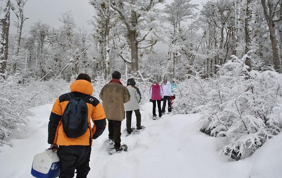 Snowshoeing and Snowmobiling Tour in Ushuaia, Argentina