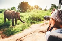 During the safari
