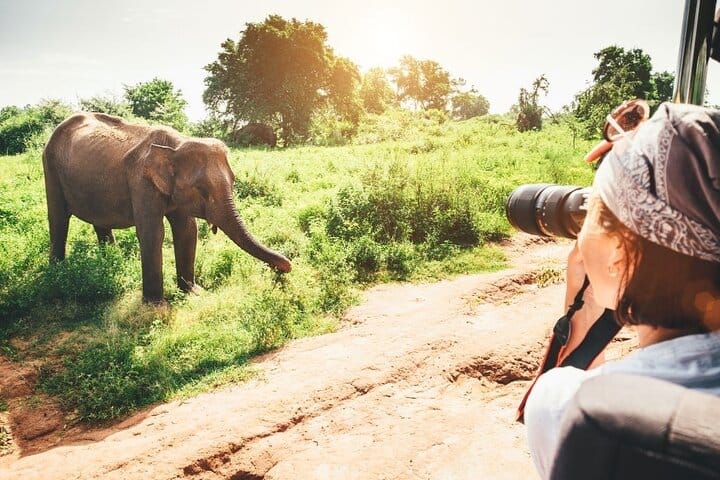 During the safari