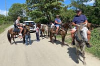 Horseback riding tour buy the beach or countryside port silver 5