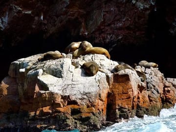Ballestas Islands