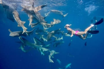 Maafushi full day tour