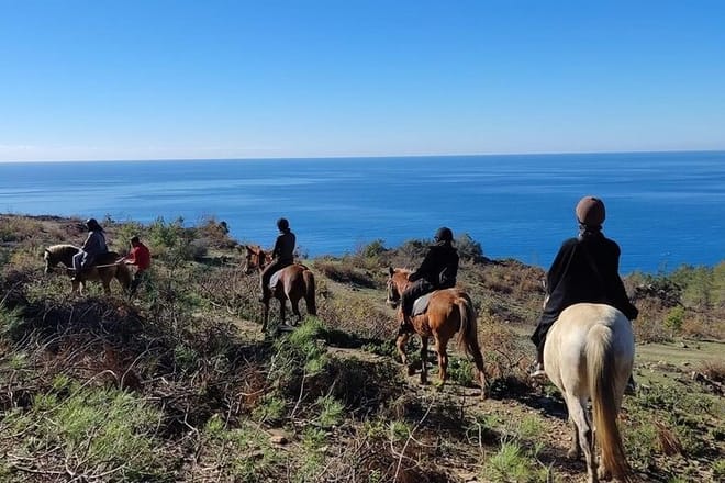  Alanya Horseback Riding in the Taurus Mountains with Transfer  6