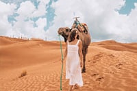 4-Day Private Desert Tour from Fes To Marrakech 5
