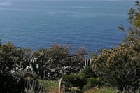 Cape Sounio and Temple of Poseidon Half Day Private Tour 8
