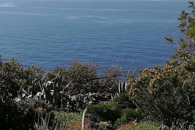 Cape Sounio and Temple of Poseidon Half Day Private Tour 8