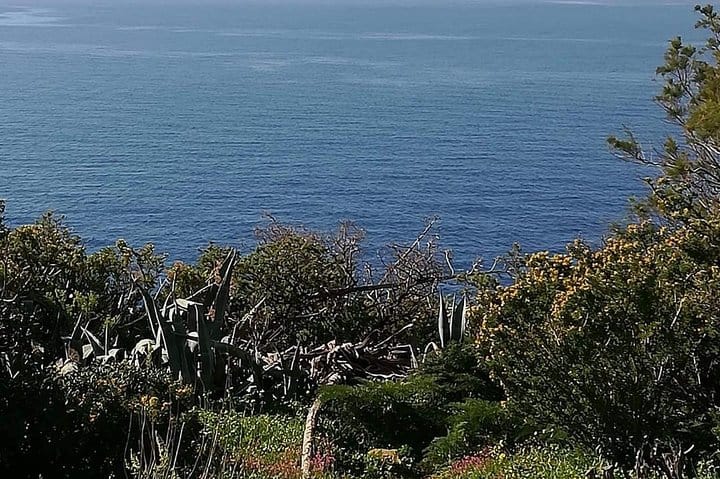 Cape Sounio and Temple of Poseidon Half Day Private Tour 8