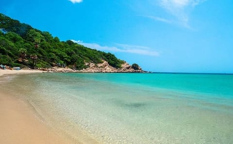 Trincomalee and Nilaveli Beach Tour from Anuradhapura