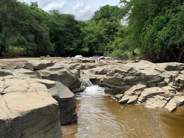 Full-Day Wildlife Safari in Cerros de Amotape National Park