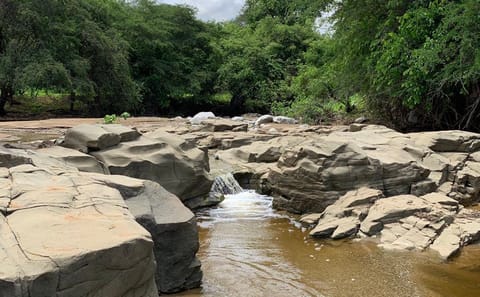 Full-Day Wildlife Safari in Cerros de Amotape National Park
