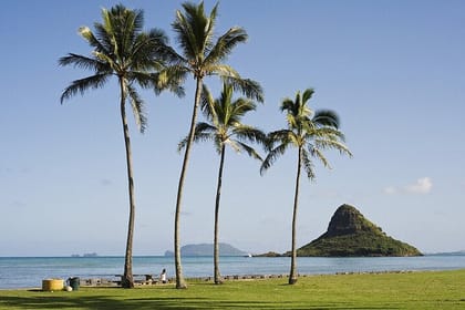 Enchanting Small Group Circle Island Tour Across Oahu Paradise