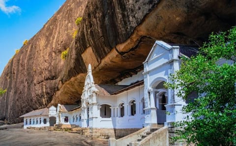 8-Day Private Tour with Train Ride, Safari & Beaches