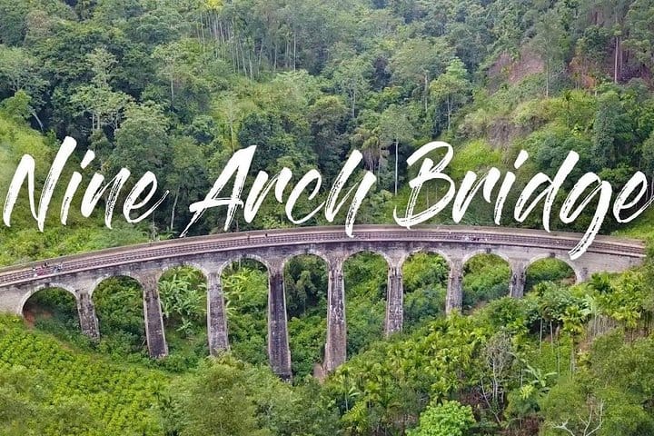 Day Trip to Wilpattu National Park from Colombo