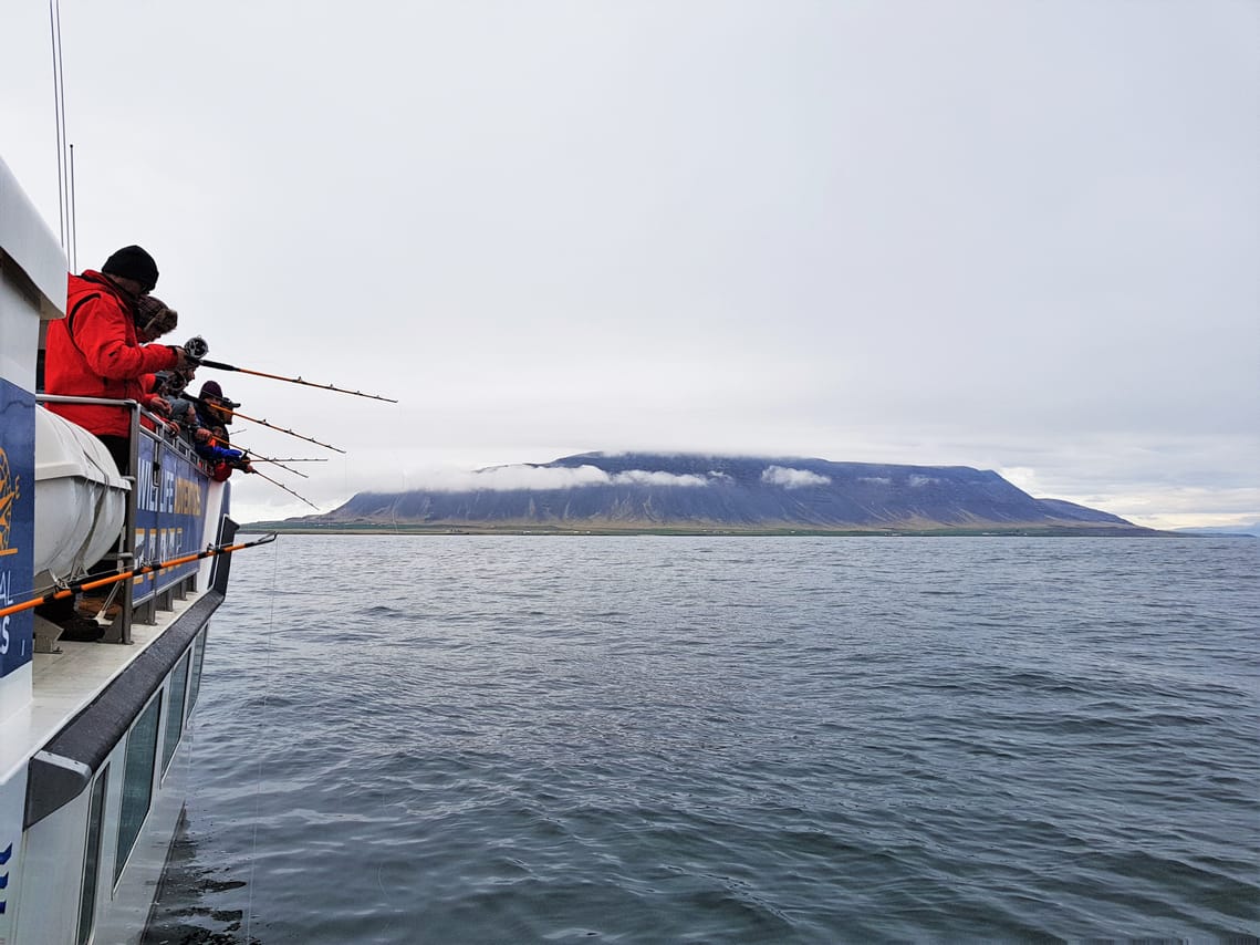 Sea Angling 10