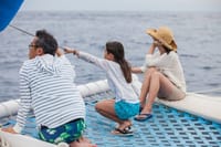 Los Cabos Whale Watching Cruise with Open Bar & Snacks 5