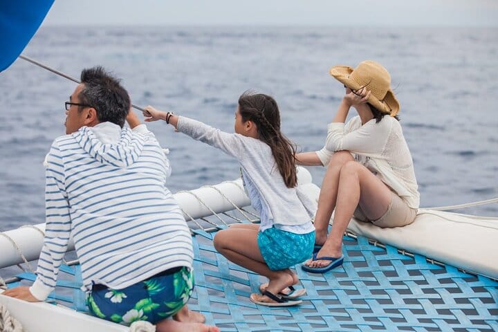 Los Cabos Whale Watching Cruise with Open Bar & Snacks 5