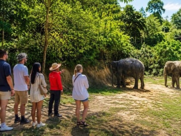 Elephant Sanctuary Small Group Tour in Phuket