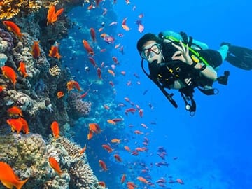 Ras Mohamed and White Island Snorkeling Tour from Sharm El Sheikh