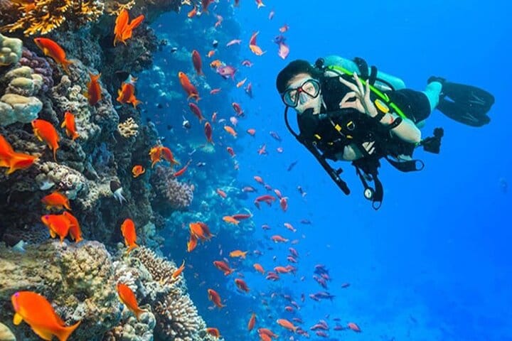 Ras Mohamed & White Island Snorkeling Cruise from Sharm El Sheikh