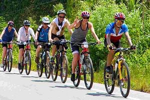 Guided Cycling Tour in Ella