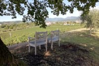 Wine tour