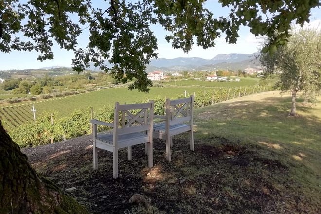 Wine tour