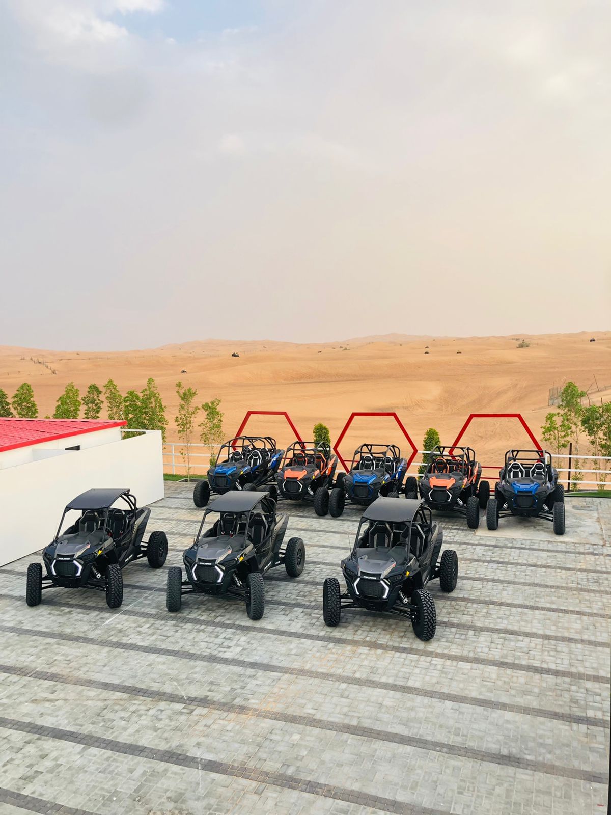 Dune Buggy Safari Tour with Daytur