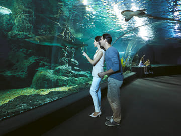 Private Shore Excursion: Amazing Phuket Island Guided Tour