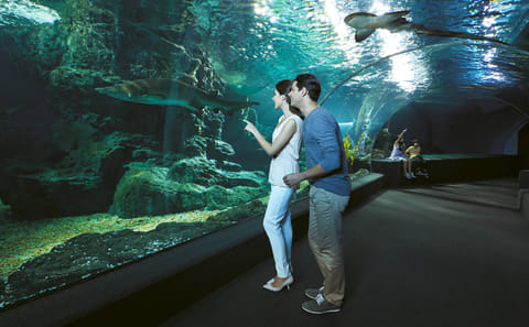 SEA LIFE Ocean World and Madame Tussauds Combo in Bangkok