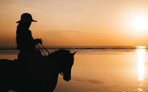 Horseback Riding Adventure in Hurghada