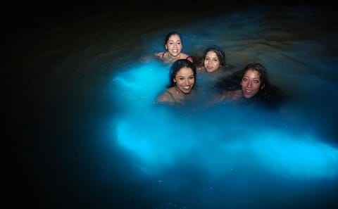 Luminous Lagoon Bioluminescence Tour from Falmouth, Jamaica