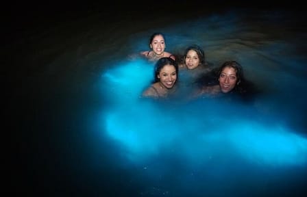 Luminous Lagoon Bioluminescence Tour from Falmouth, Jamaica