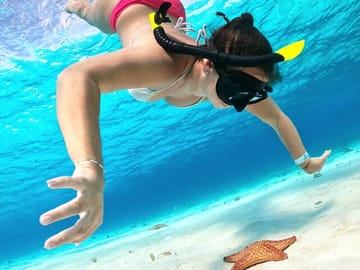 Cozumel Turtle Sanctuary Snorkeling Experience