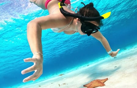 Cozumel Turtle Sanctuary Snorkeling Experience