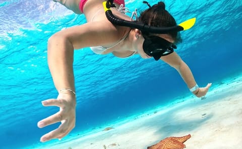 Cozumel Turtle Sanctuary Snorkeling Experience