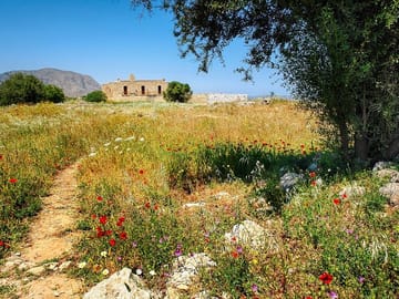 Private Half-Day Hiking Tour of Sarakina Gorge in Chania