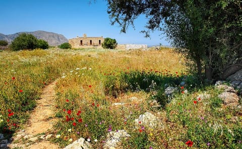 Private Half-Day Hiking Tour of Sarakina Gorge in Chania