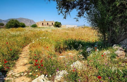 Private Half-Day Hiking Tour of Sarakina Gorge in Chania